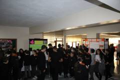 Evrensel Kolej